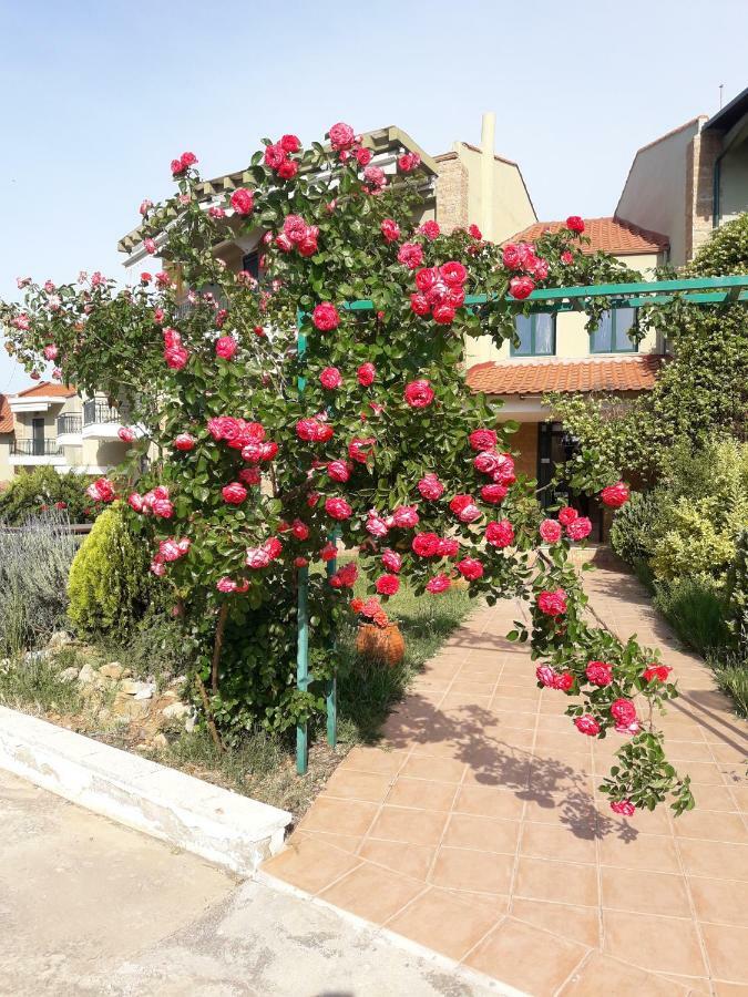 Cozy Apartment Fantastic View Νέα Μουδανιά Εξωτερικό φωτογραφία